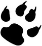 patoune