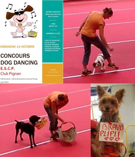 20181014DogdancingPignan