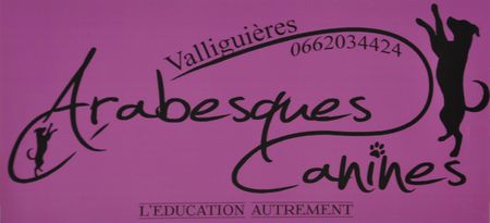 arabesques canines valliguieres