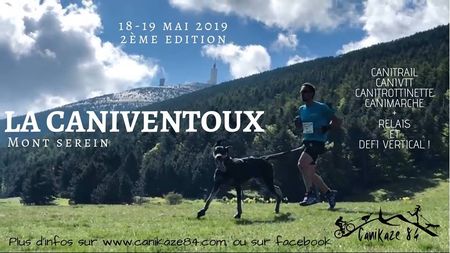 affichecaniventoux2019p