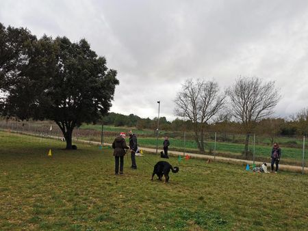 Entrainement Educ 3, météo pas terrible mais toutous présents !!!