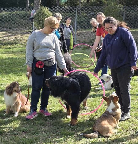 Entrainement Chiens Visiteurs - 5 avril 2025