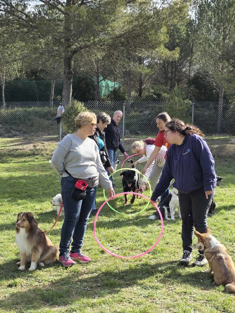 Entrainement Chiens Visiteurs - 5 avril 2025