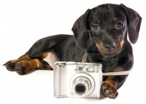 ConcoursPhoto1